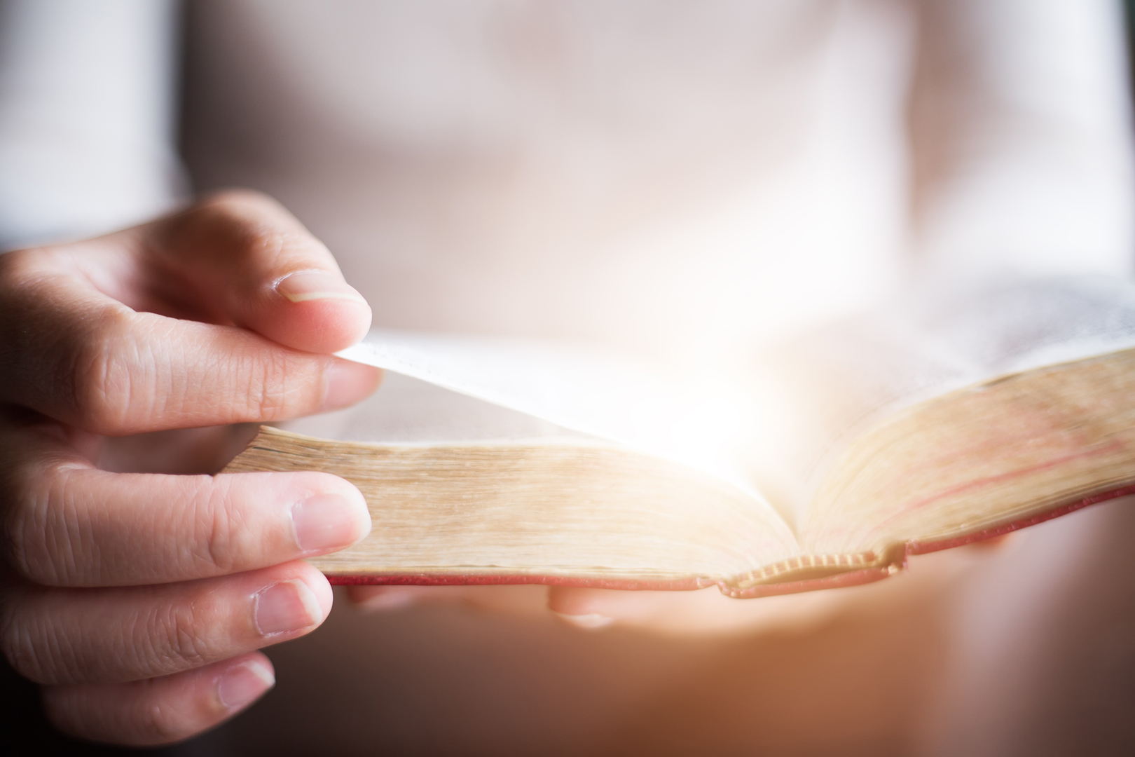 Lea la Biblia en un año : 56º día