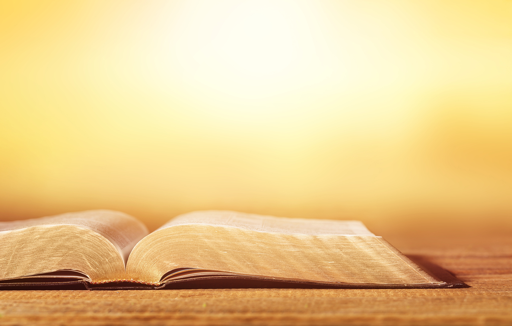 Lea la Biblia en un año : 32º día