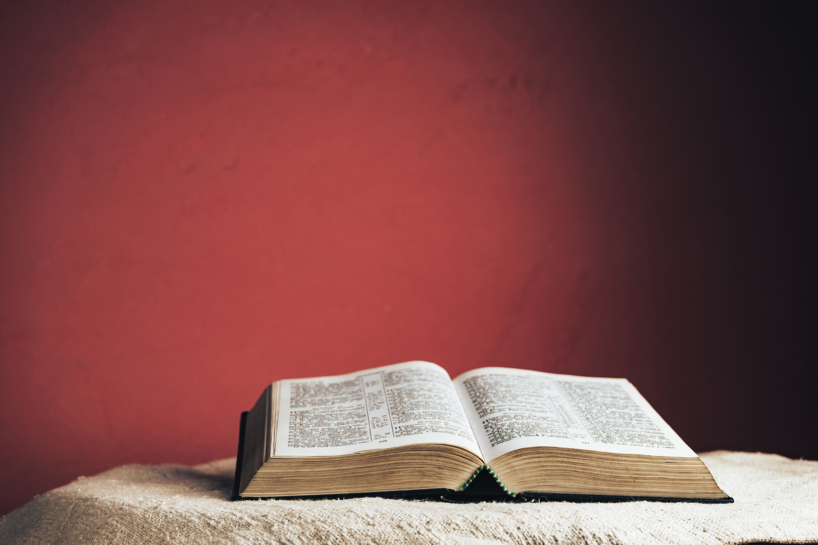 Lea la Biblia en un año : 110º día