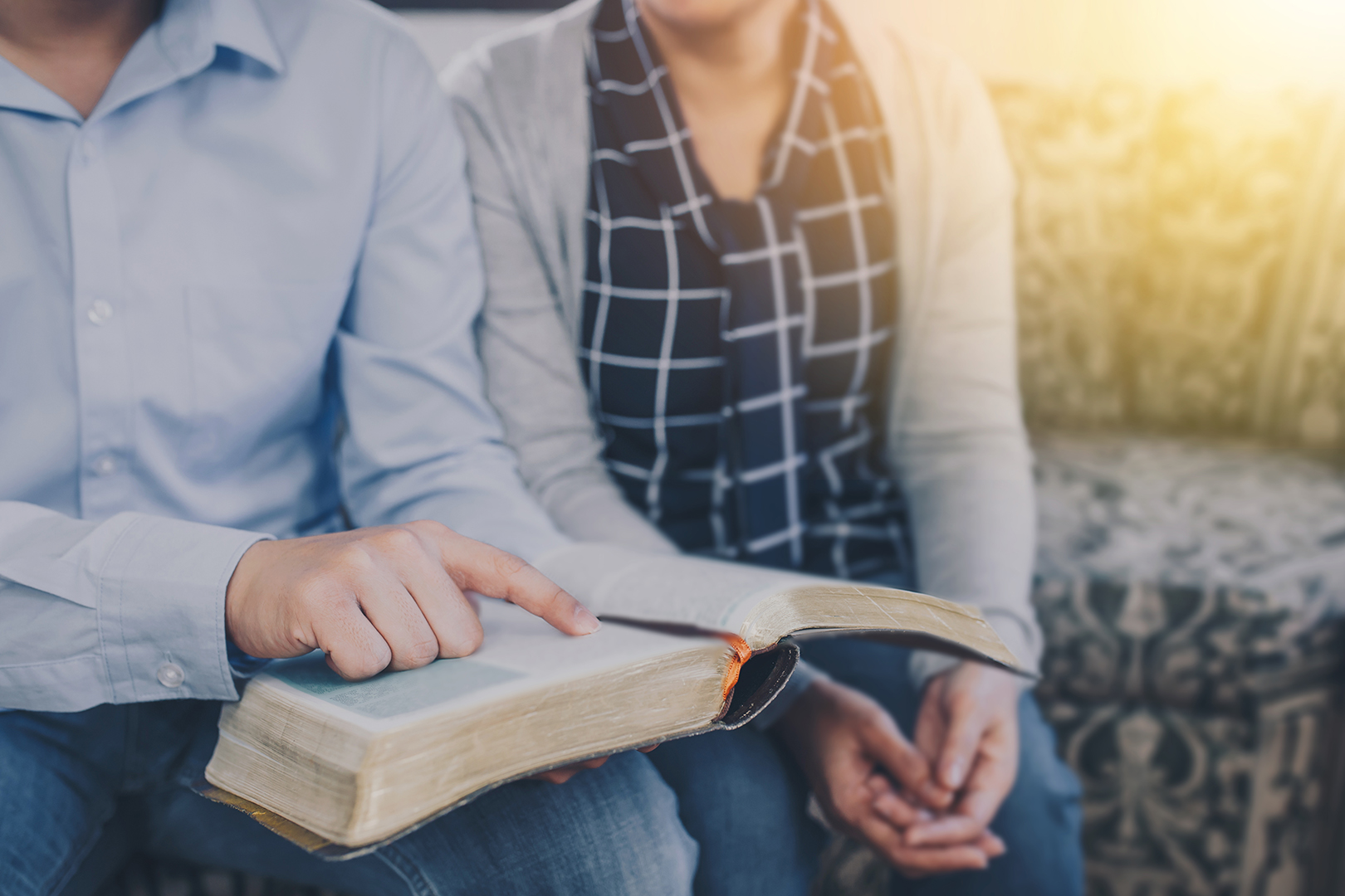 Lea la Biblia en un año : 54º día