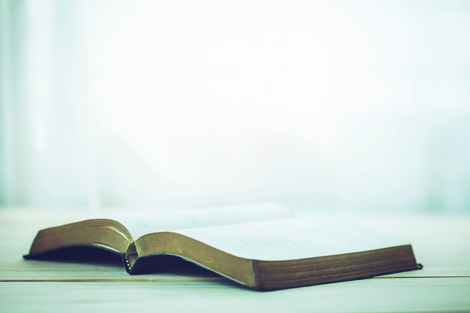 Lea la Biblia en un año : 45º día