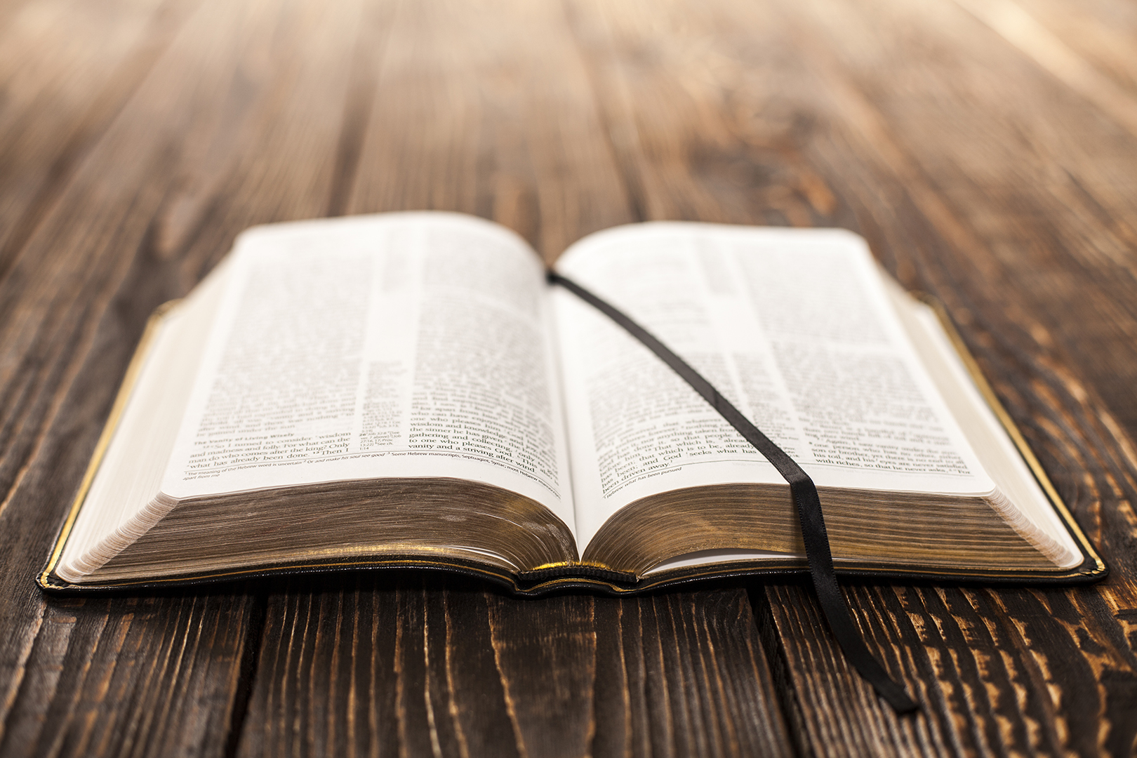Lea la Biblia en un año : 43º día