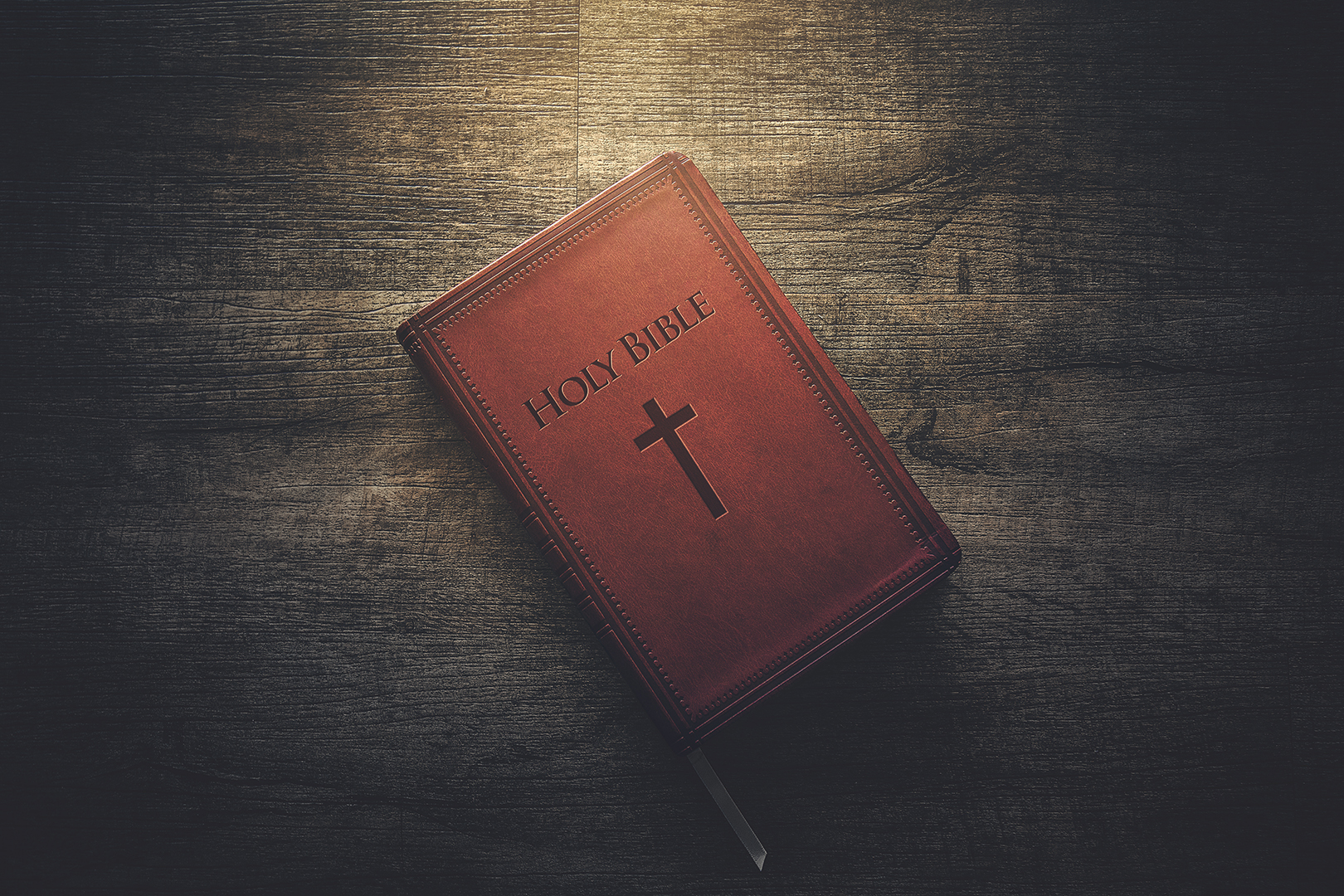 Lea la Biblia en un año : 44º día