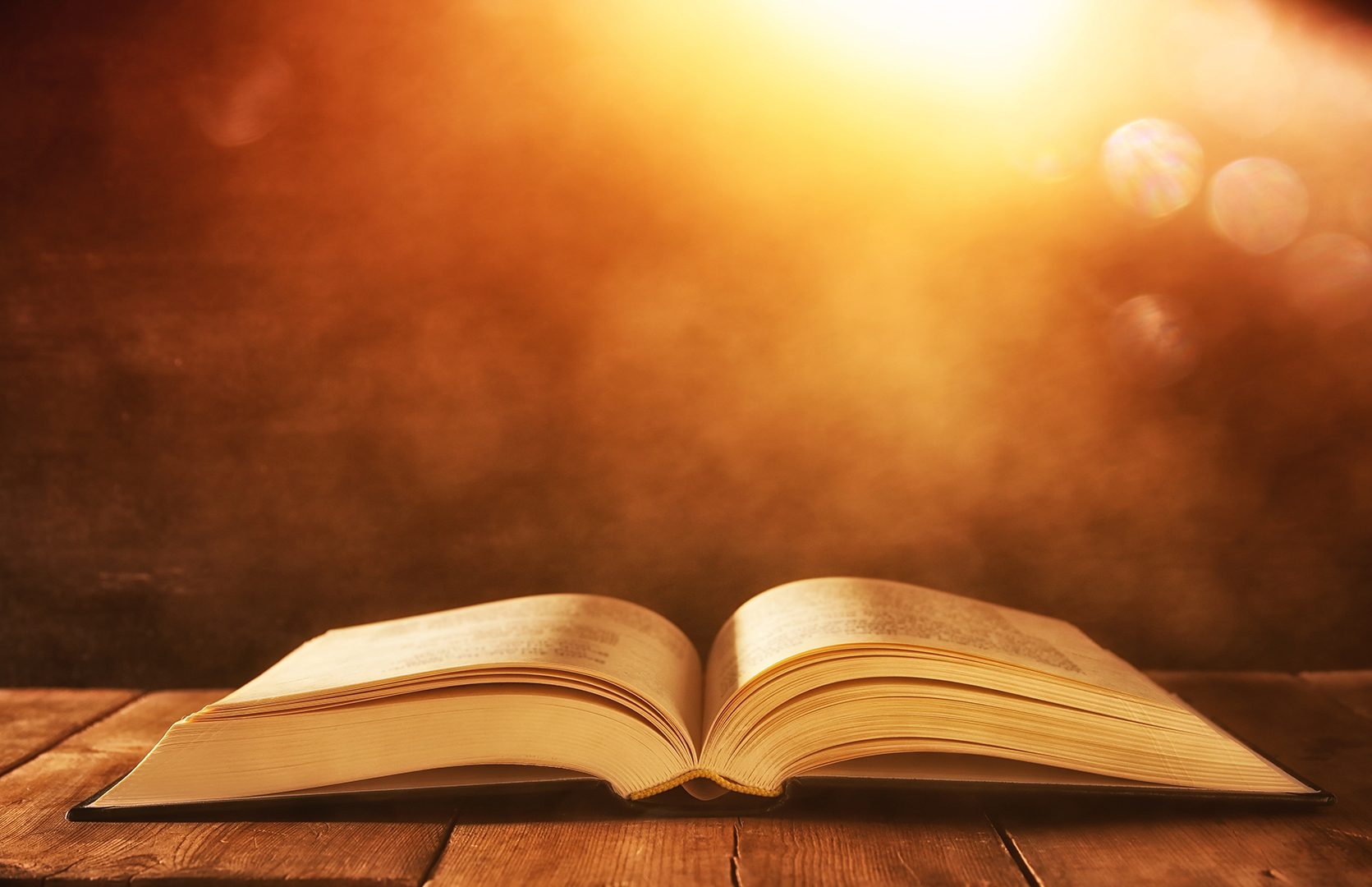 Lea la Biblia en un año : 41º día
