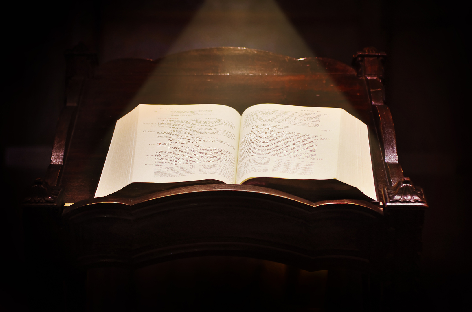 Lea la Biblia en un año : Día 63º
