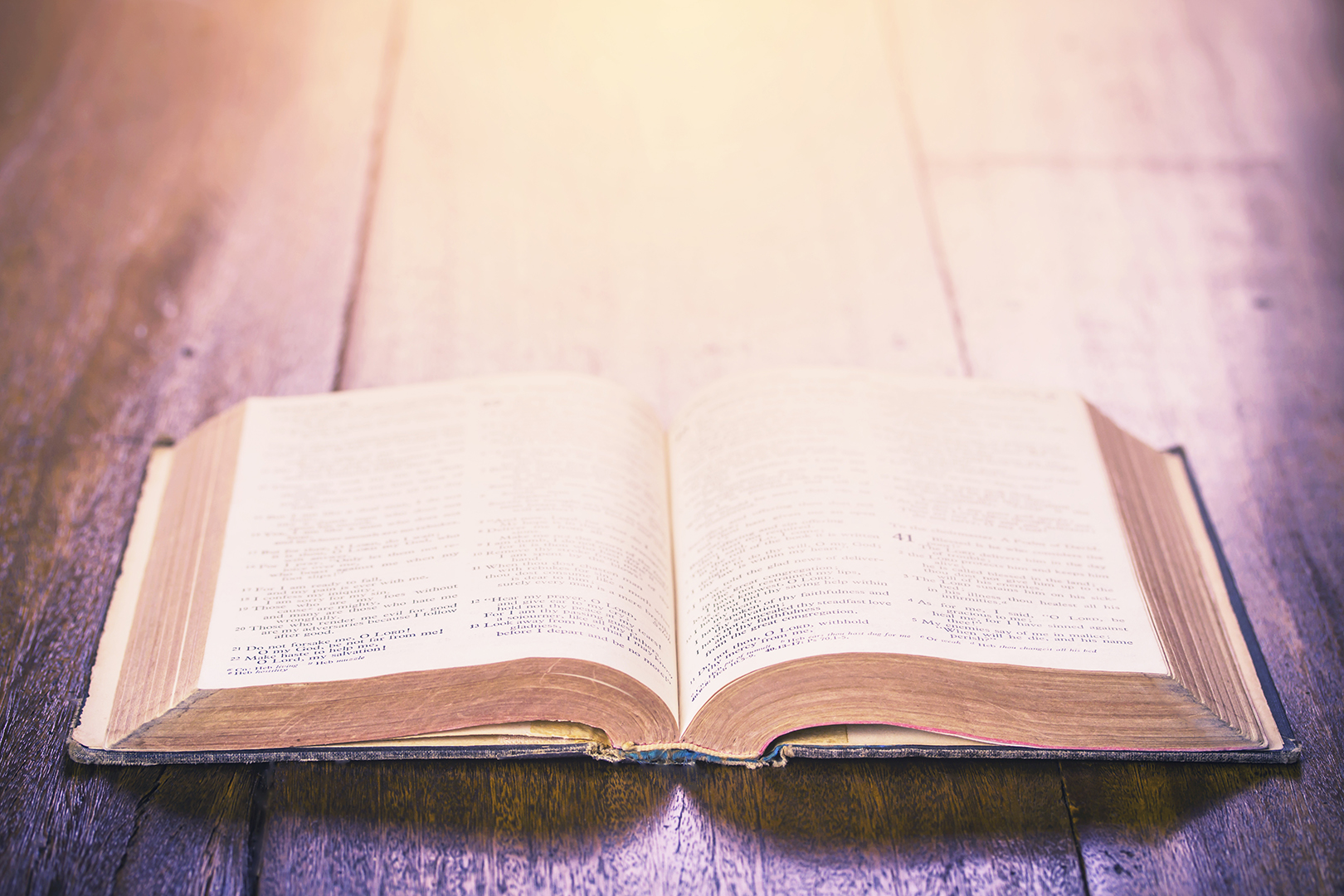 Lea la Biblia en un año : 96º día