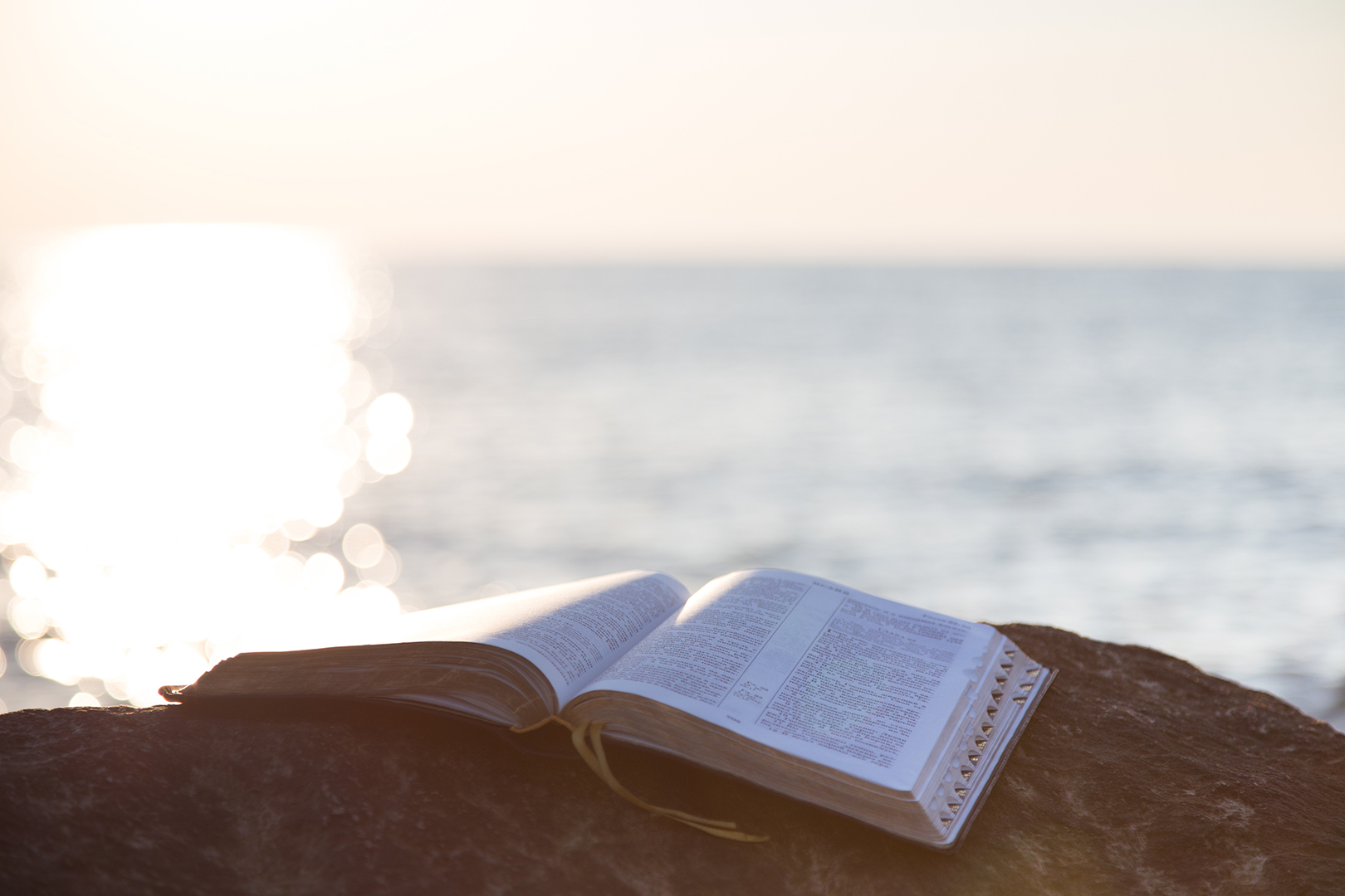 Lea la Biblia en un año : 37º día