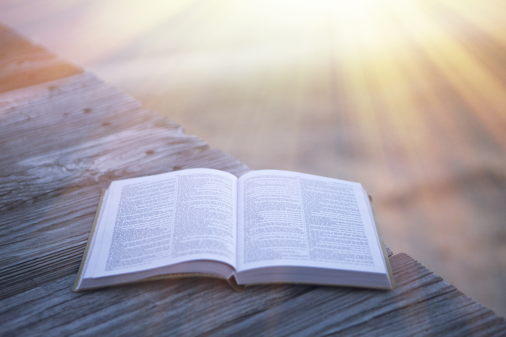 Lea la Biblia en un año : 33º día
