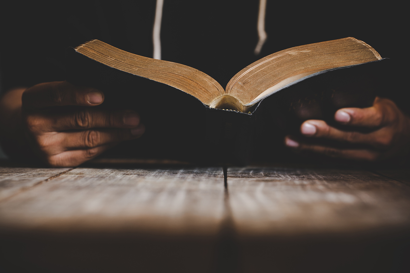 Lea la Biblia en un año: 203º día