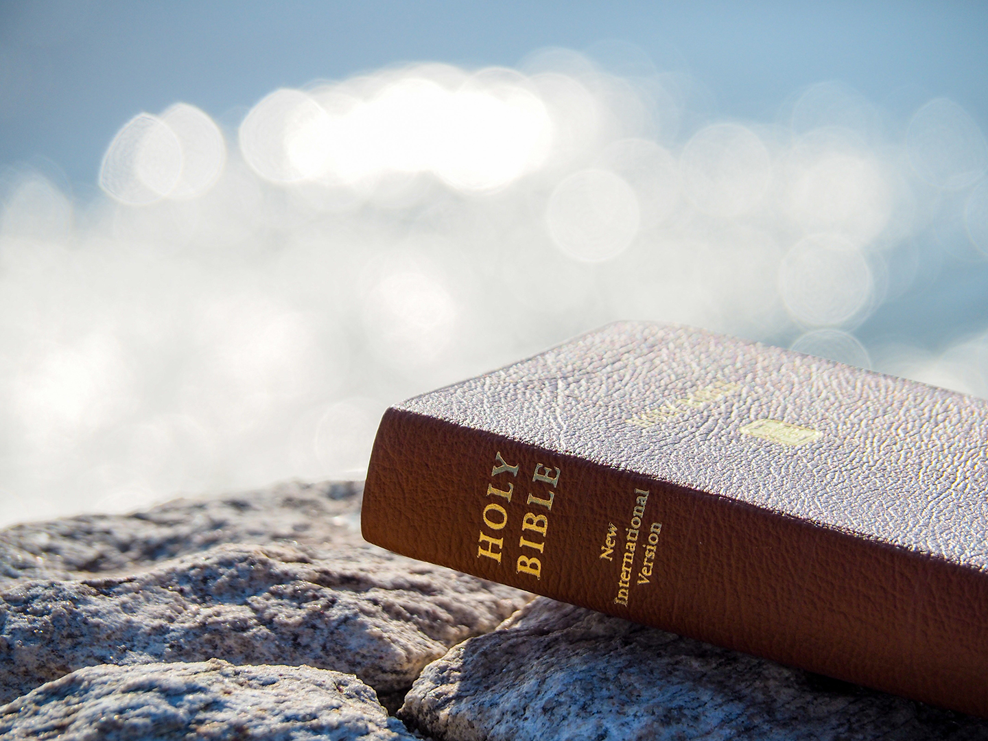 Lea la Biblia en un año : 194º día