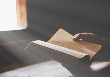 Lea la Biblia en un año : 225º día