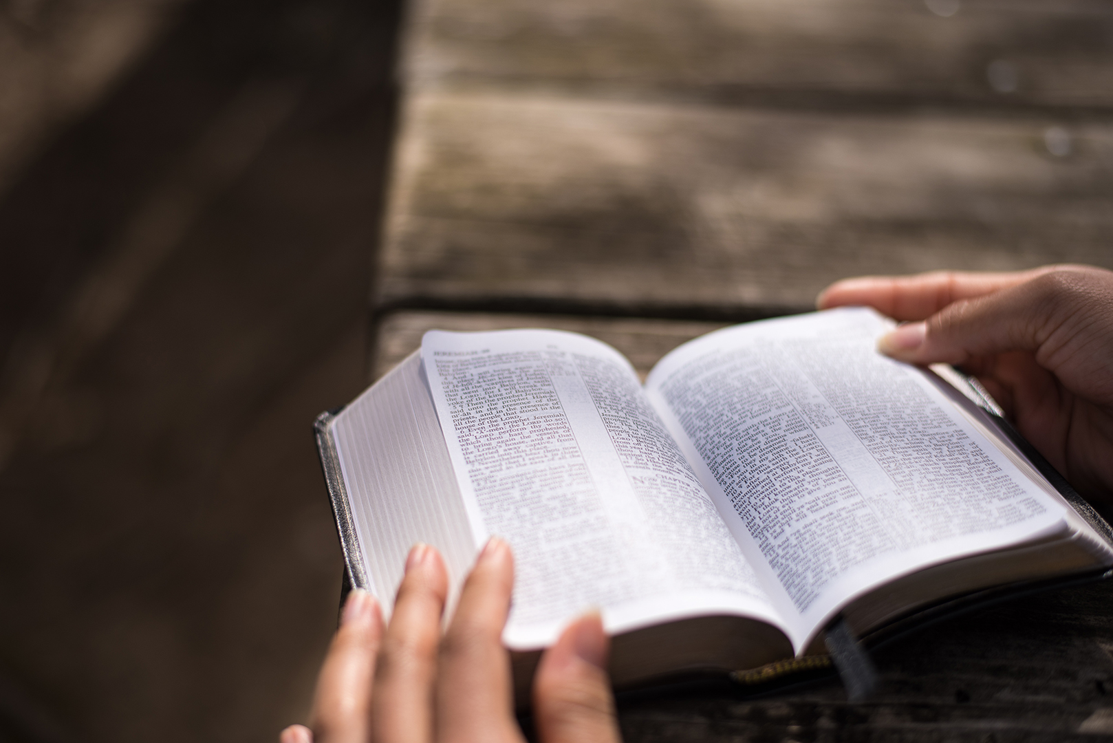 Lea la Biblia en un año : 224º día