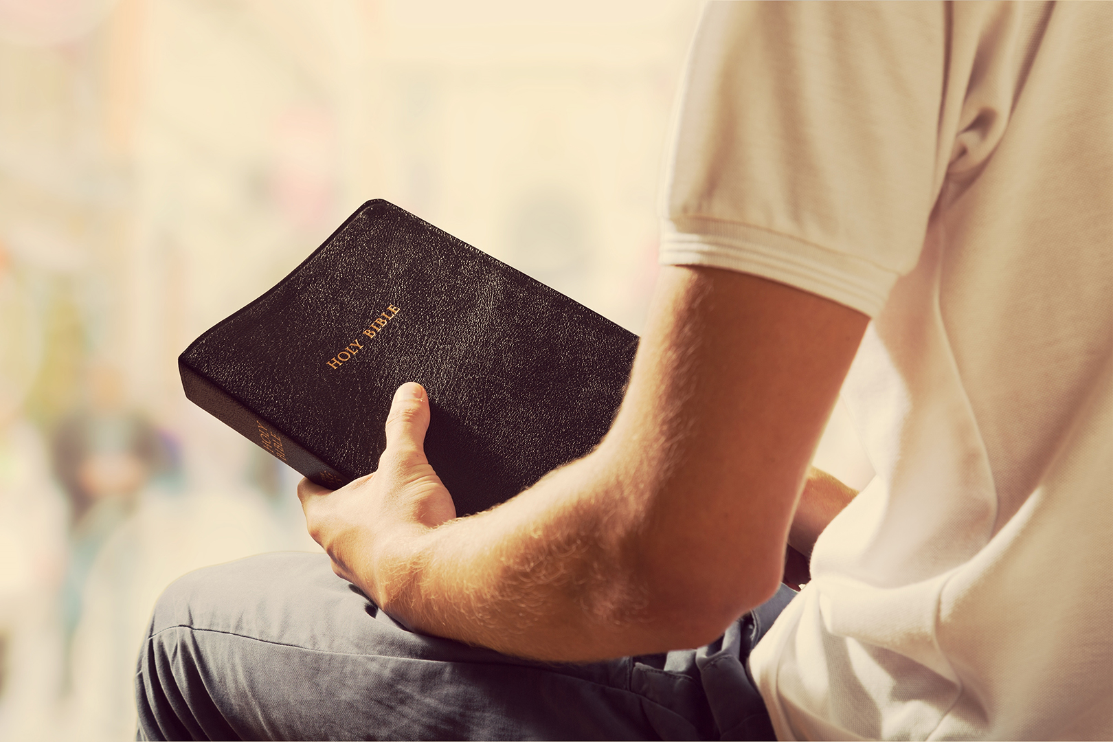 Lea la Biblia en un año : 226º día