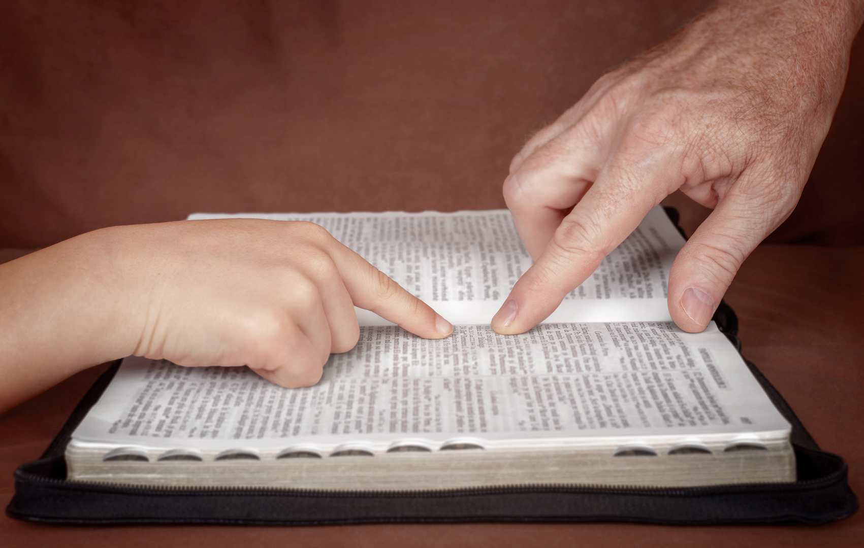Lea la Biblia en un año : 257º día