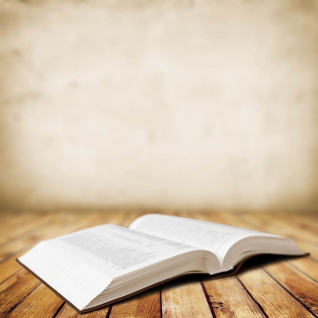 Lea la Biblia en un año : 265º día