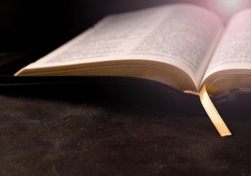 Lea la Biblia en un año : 264º día