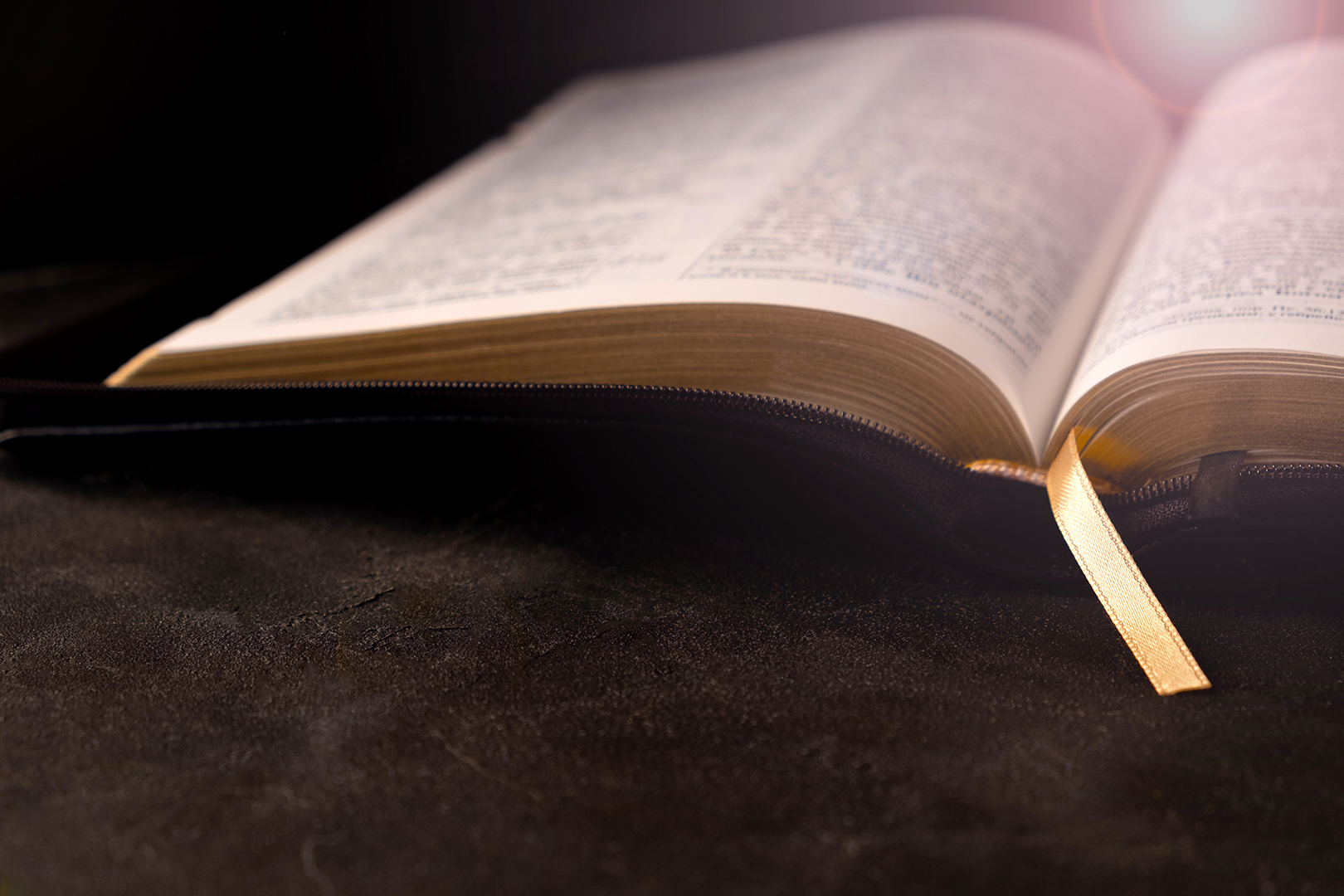 Lea la Biblia en un año : 259º día