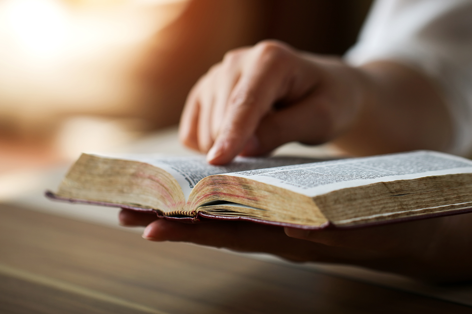 Lea la Biblia en un año : 240º día