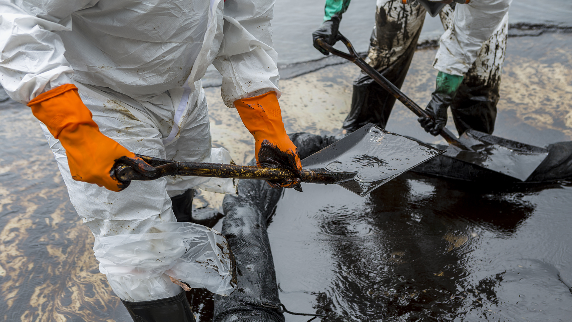 Autoridades buscan fuente de derrame de petróleo en California