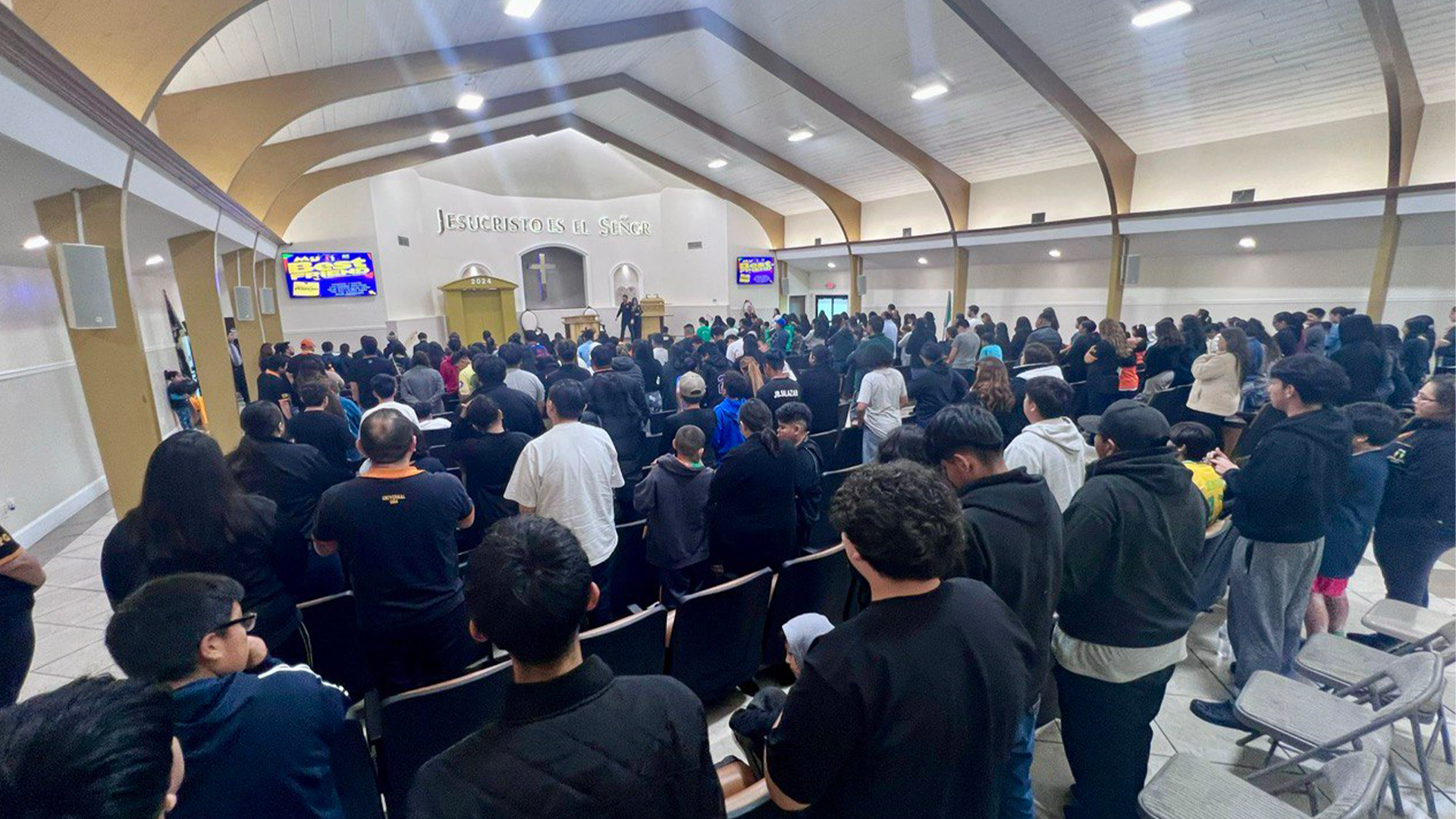 Encontrando al mejor amigo