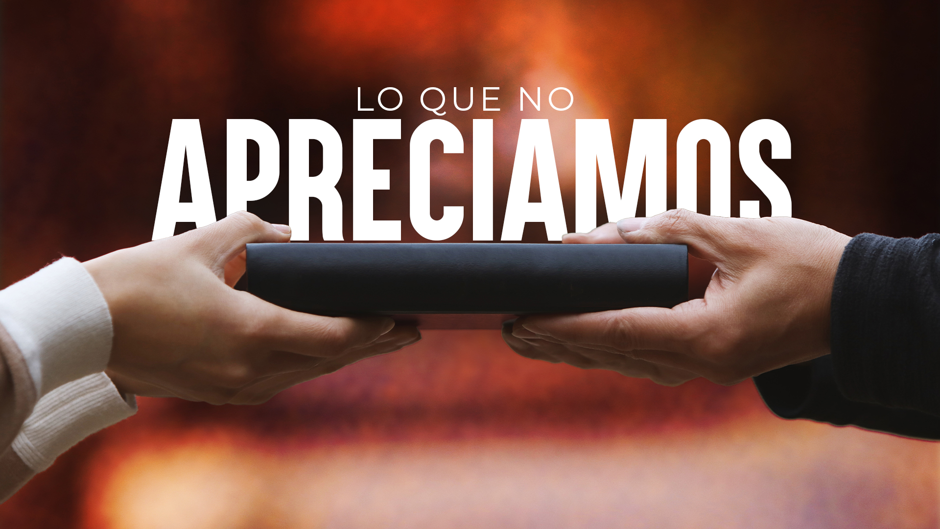 Lo que no Apreciamos