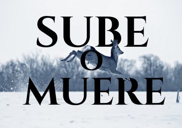 Decisión de un cambio