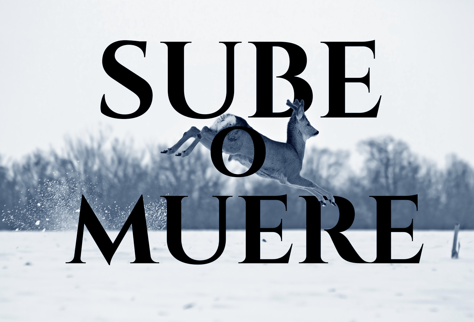 Sube o Muere
