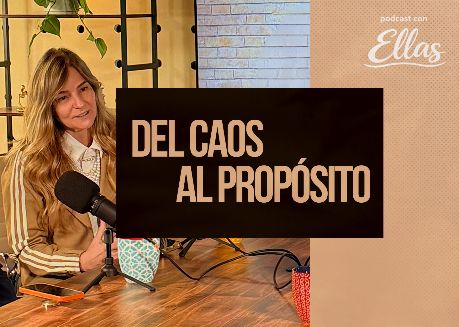 Del Caos al Prop&oacute;sito