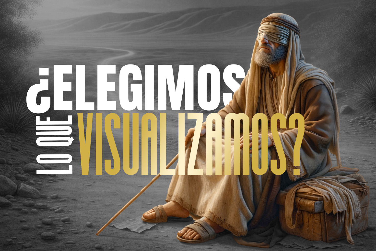 &iquest;Elegimos lo que visualizamos?