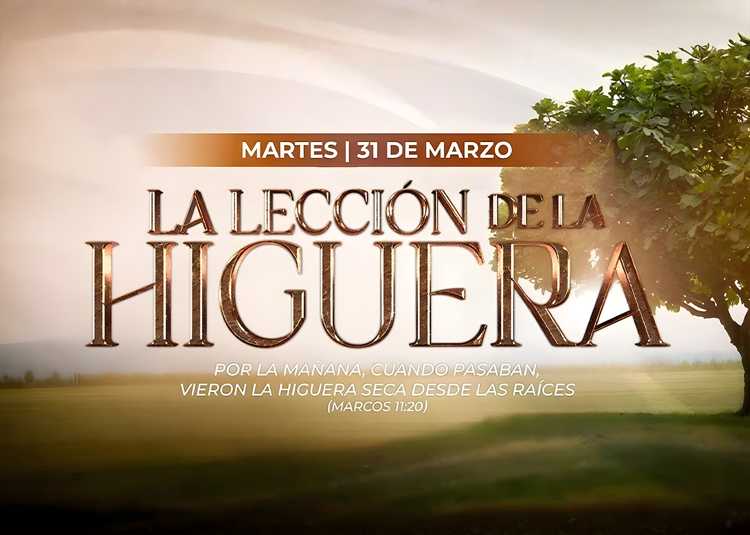 La Lecci&oacute;n de la Higuera