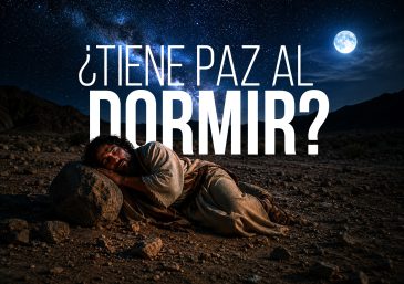 La mejor manera de ayudar