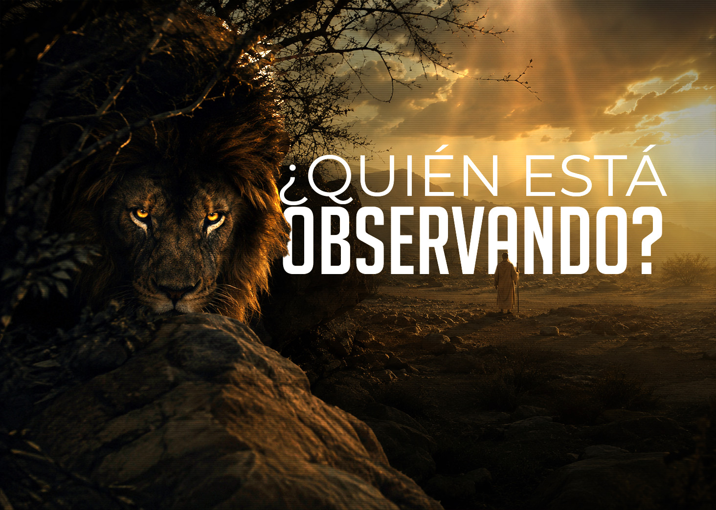 &iquest;Qui&eacute;n conoce el coraz&oacute;n?