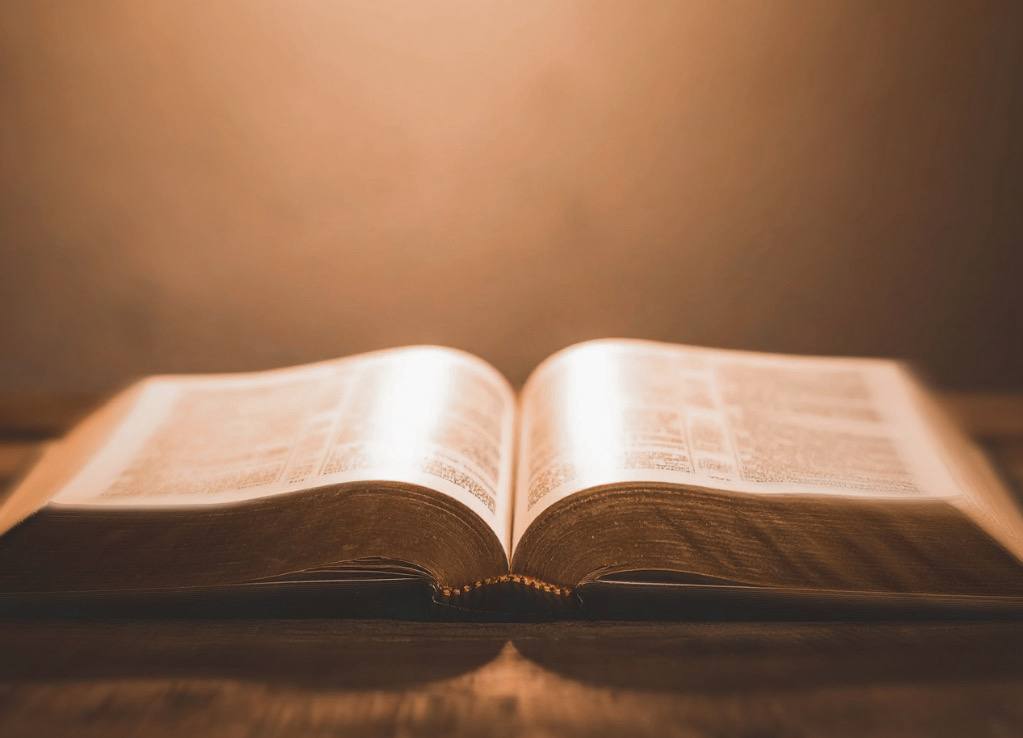 Quarta-Feira: Escola da Fé Inteligente